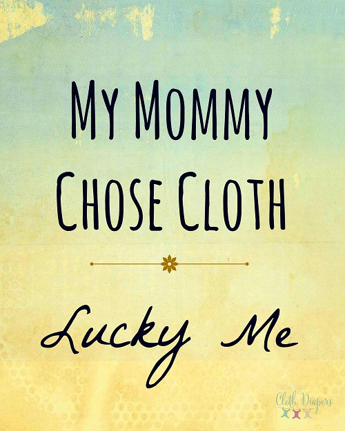 free cloth diaper printable - my mommy chose cloth diapers lucky me