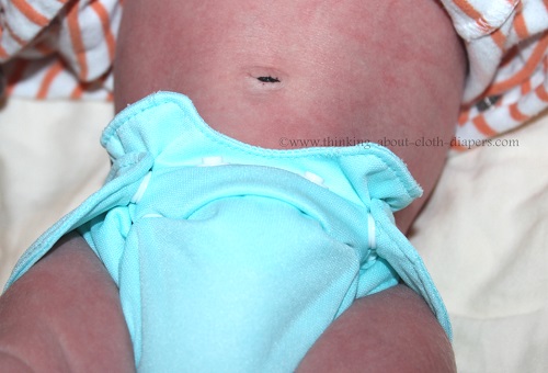 Born Smart Smart Bottoms Newborn All in One Review